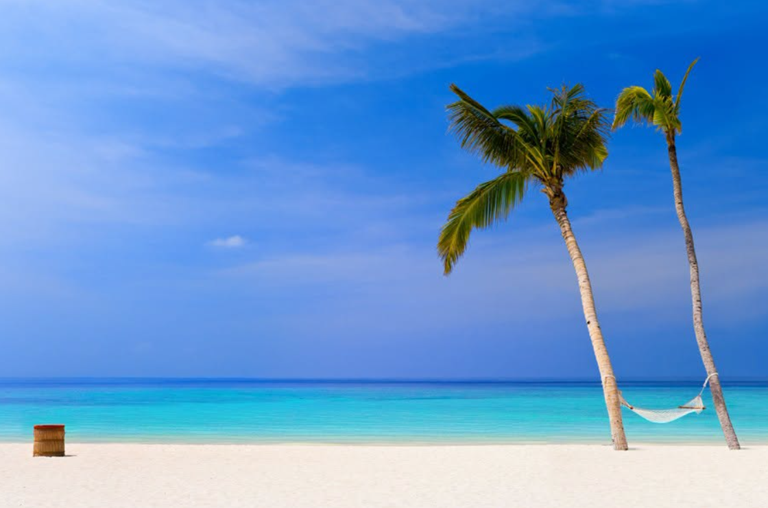 Two leaning palms holding a hammock above white sand on a quiet Caribbean beach